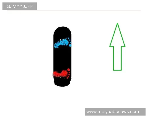 滑板战术解析：深入探讨上海滑板队的独特进攻体系与战术布局